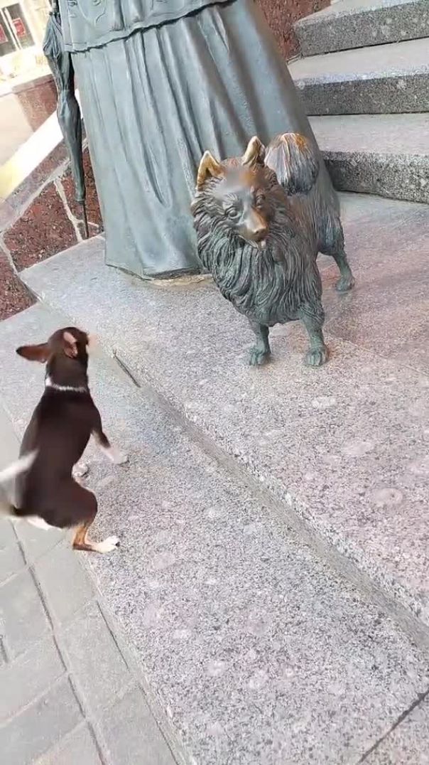 тв