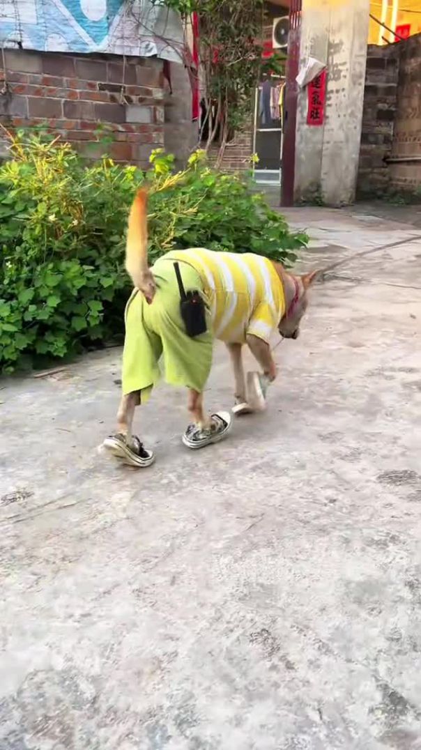 охрана