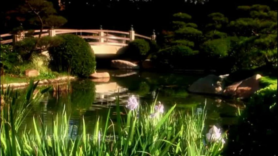 Audio Ralexation - Провожал ты меня из тенистого сада (AI cover)