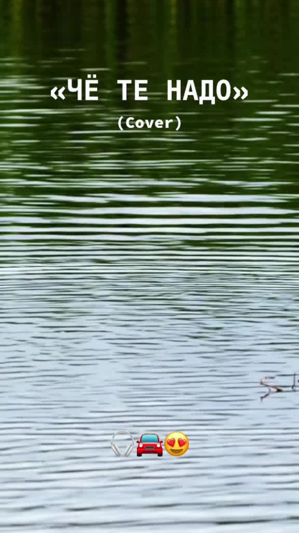 Провожал ты меня из тенистого сада