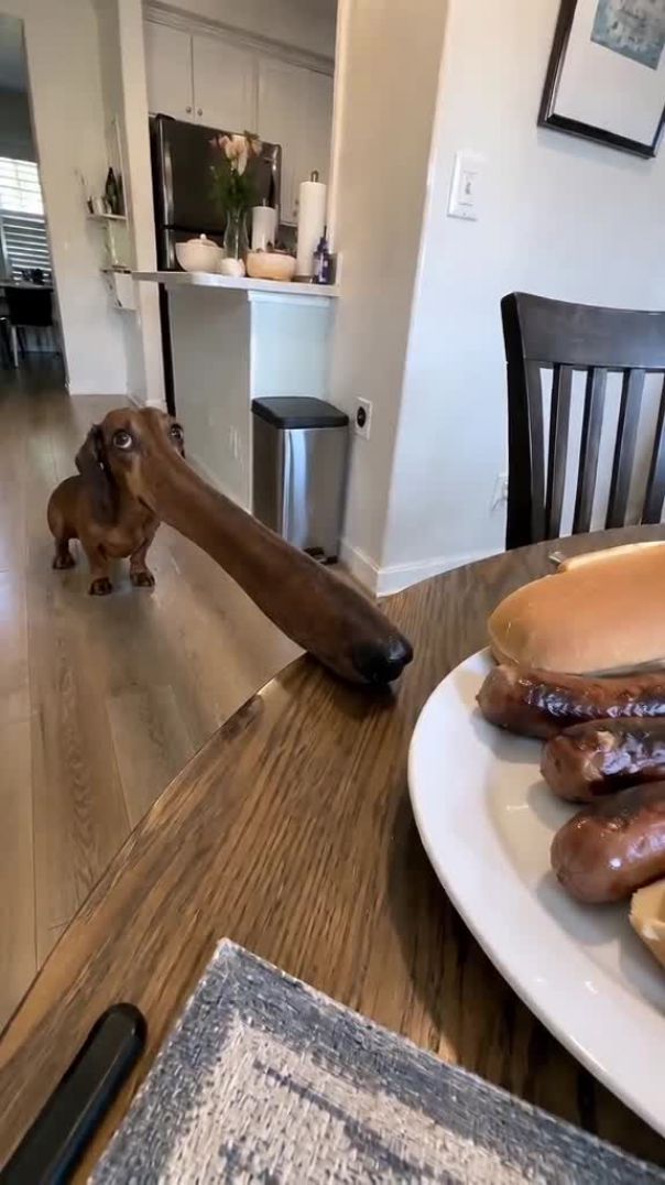 хороший нюх